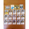 Treviso calciatori panini 2005 2006