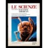 Le scienze n.293 gennaio 1993