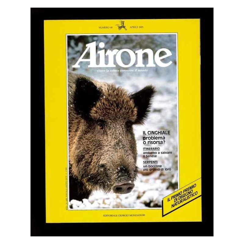 Airone n.48 aprile 1985 il cinghiale problema o risorsa