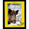 Airone n.48 aprile 1985 il cinghiale problema o risorsa