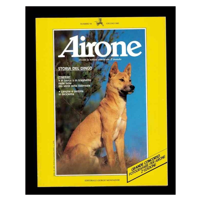 Airone n.50 giugno 1985 storia del dingo