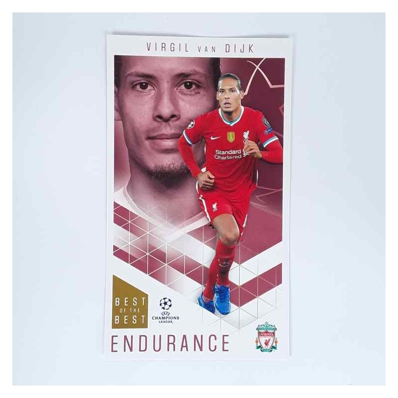 Best of the best Endurance 56 Virgil van Dijk