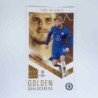 Best of the best Golden Goalscorers Timo Werner