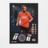 Match Attax International Icon Edin Visca