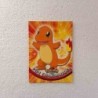 Pokemon Charmander 04