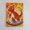 Pokemon Charmeleon 05