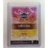 LaMelo Ball  2021-22  Panini NBA Instant Breakaway B14  1/2819