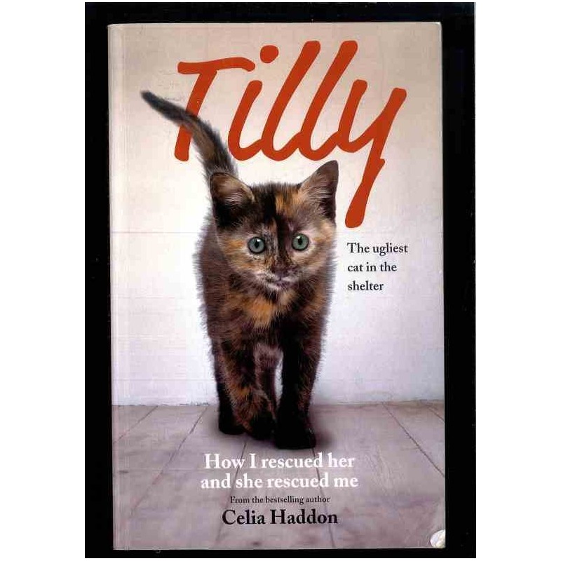 Tilly di Haddon Cecilia