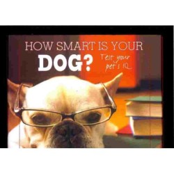 How smart is your dog ? di v.v.