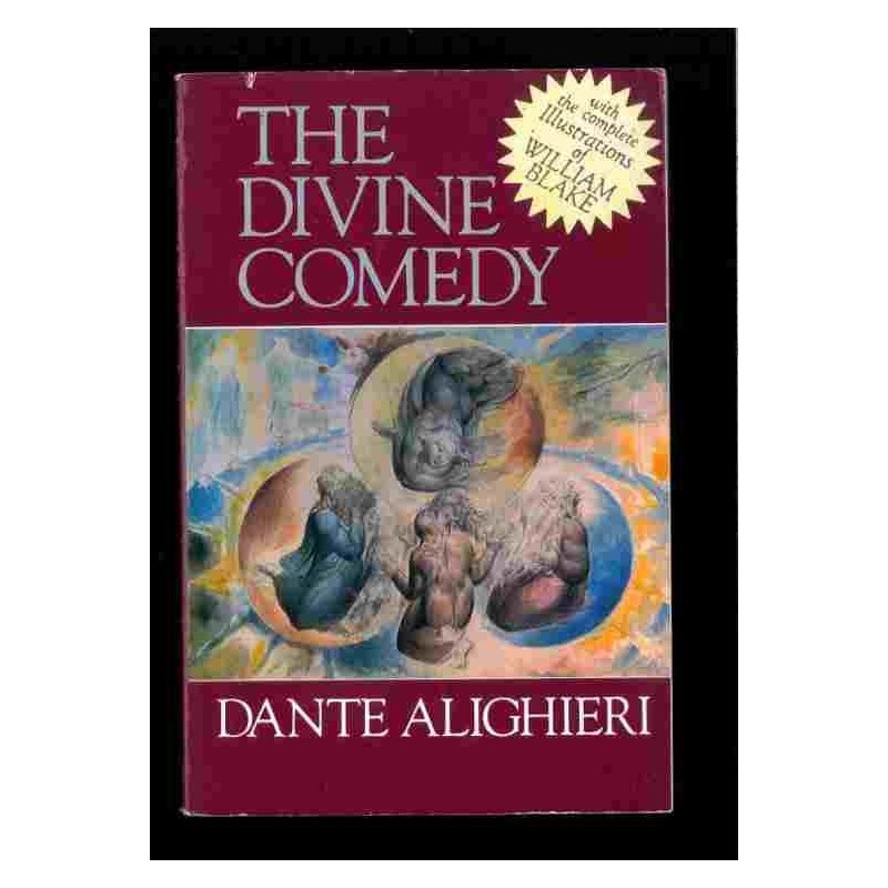 The divine comedy - Dante Alighieri di Cotter James Finn