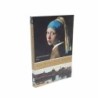 Girl with a pearl Earring di Chevalier Tracy