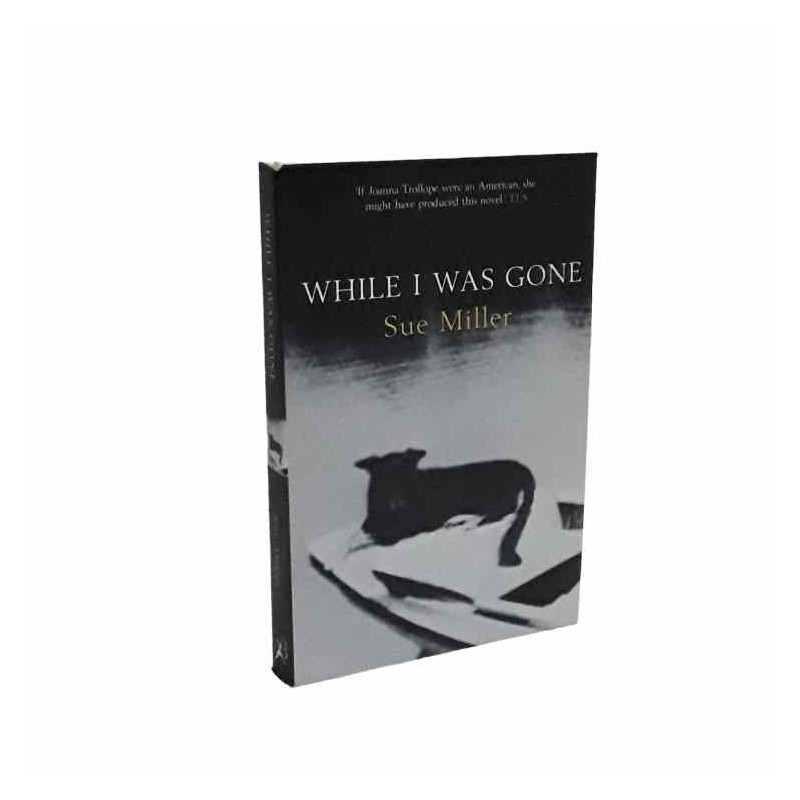 While I was gone di Miller Sue