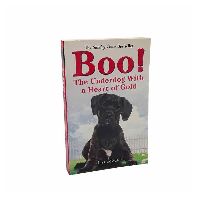 Boo the underdog with a heart of gold di Edwards Lisa