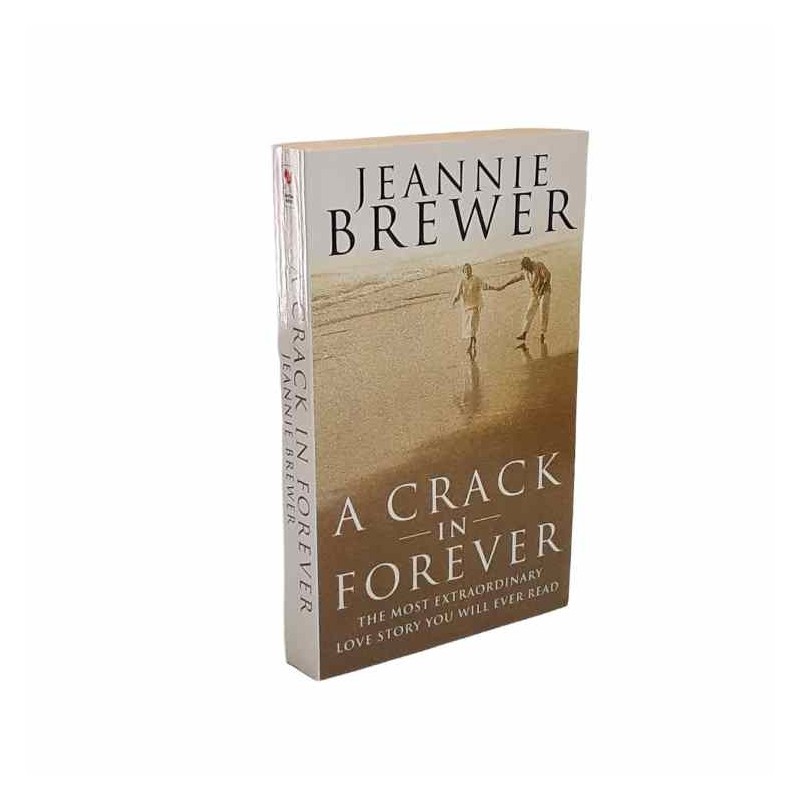 A crack in forever di Brewer Jeannie
