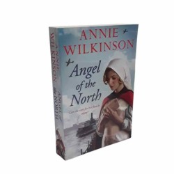 Angel of the north di Wilkinson Annie