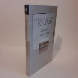 Camera con vista di Forster...