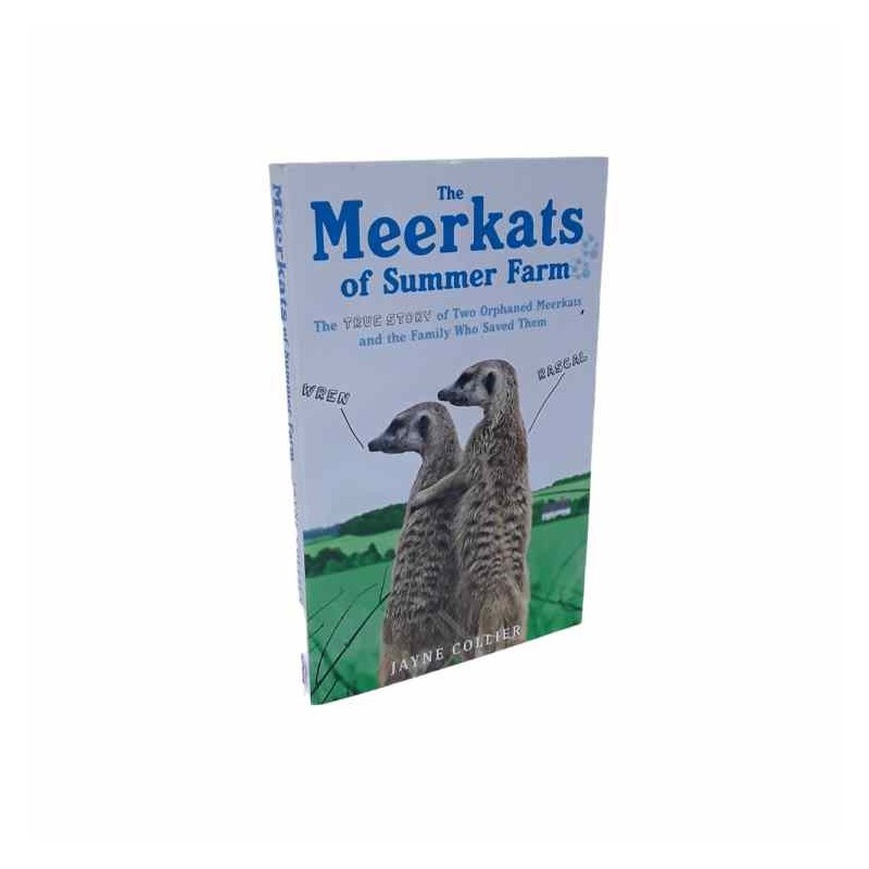 The meerkats of summer farm di Collier Jayne