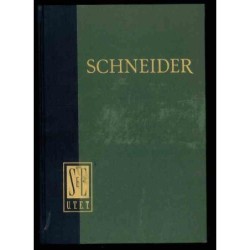 Bilancia dei pagamenti e corso dei cambi di Schneider Erich