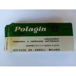 POLAGIN Istituto De Angeli...