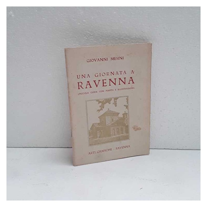 Una giornata a Ravenna di Mesini Giovanni