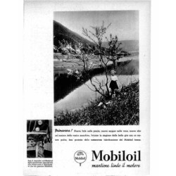 Mobiloil  Mantiene lindo il...