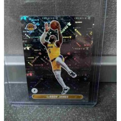 Lebron James 2023/24 Panini...