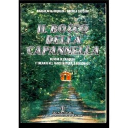 Il bosco della Capannella...