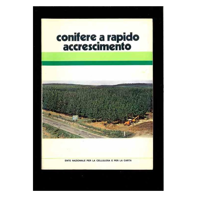 Conifere a rapido accrescimento