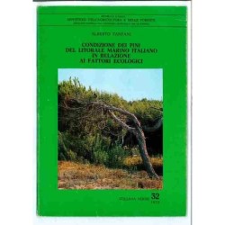 Condizoni dei Pini del litorale marino Collana verde 32 di Fanfani Alberto