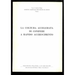 La coltura accellerata di conifere a rapido accrescimento