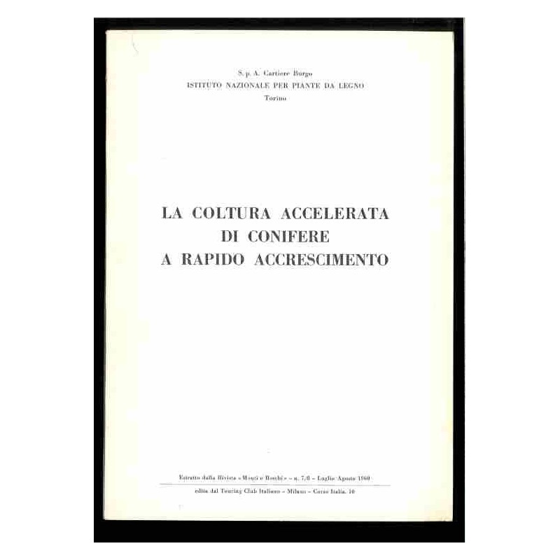 La coltura accellerata di conifere a rapido accrescimento