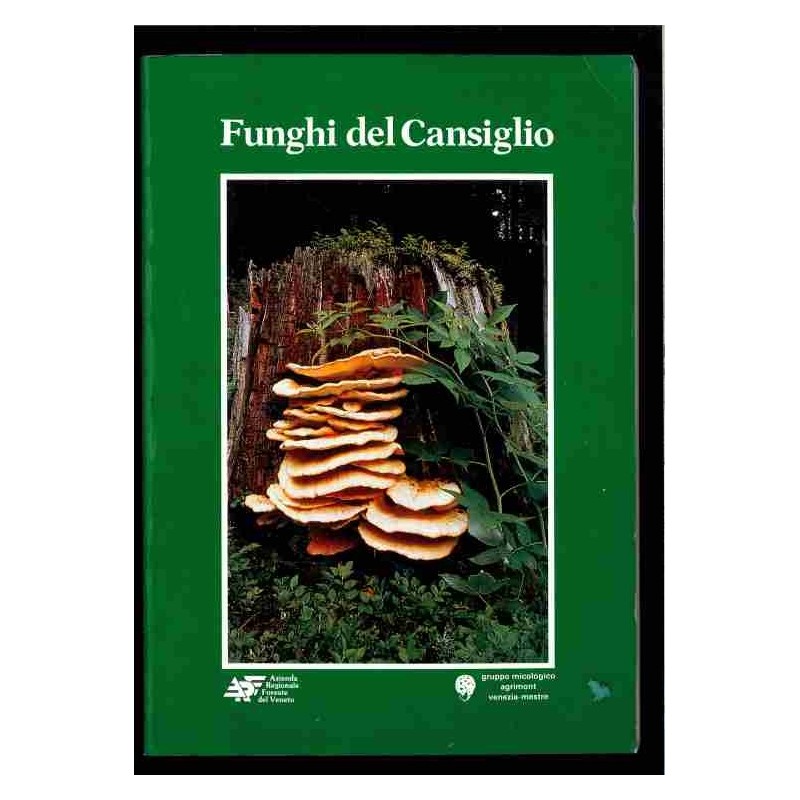 Funghi del Cansiglio