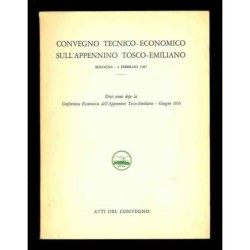 Convegno tecnico economica...