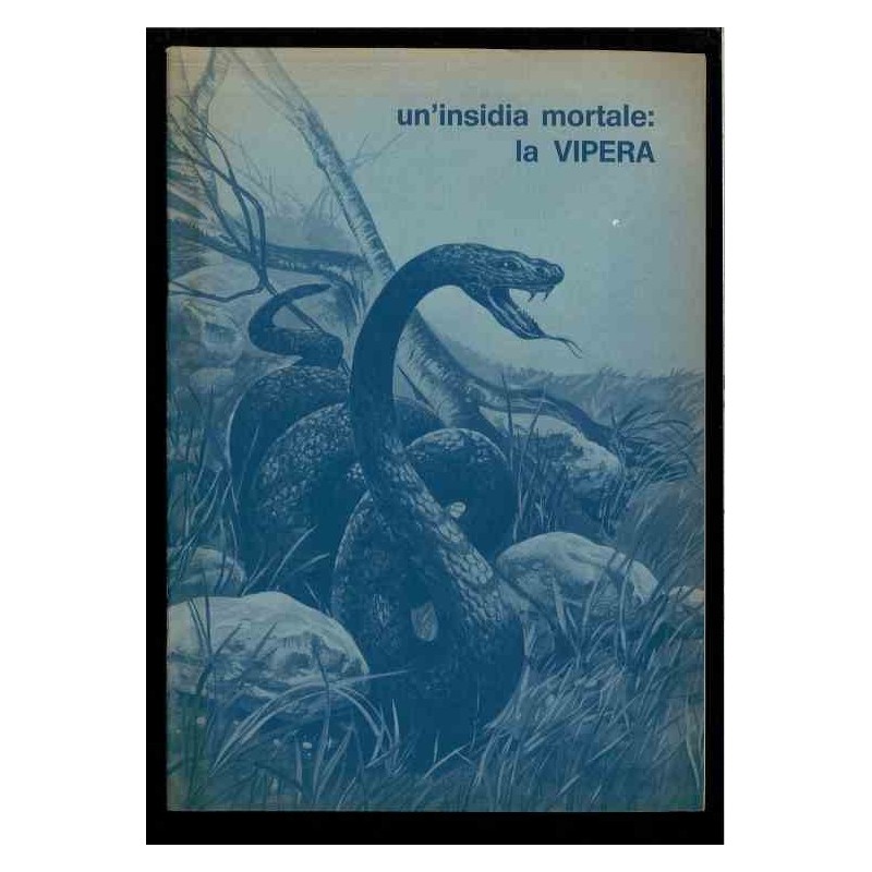 Un insidia mortale: la vipera di Reginato Enrico