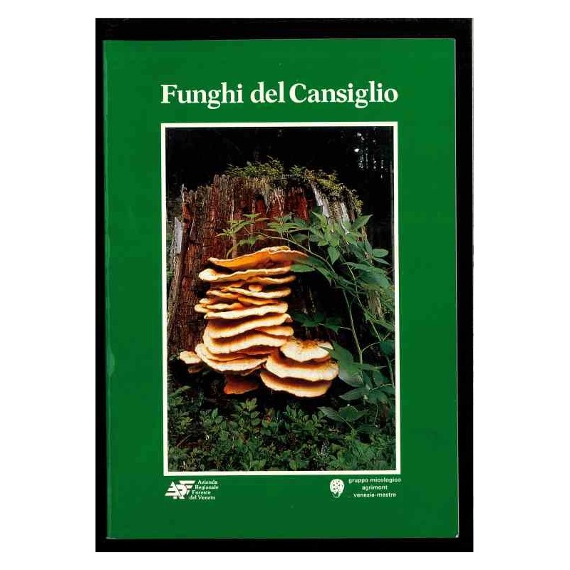 Funghi del Cansiglio