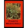 Piante medicinali