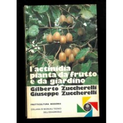 L'actinidia pianta da frutto e da giardino di Zuccherelli Gilberto e Giuseppe