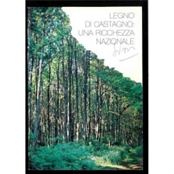 Legno di castagno: Una ricchezza Nazionale