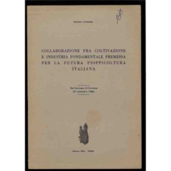 Coltivazione e industria per la futura pioppicoltura italiana