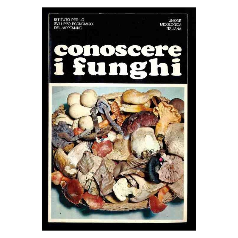 Conoscere i funghi