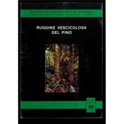 Ruggine vescicolosa del pino - collana verde 10