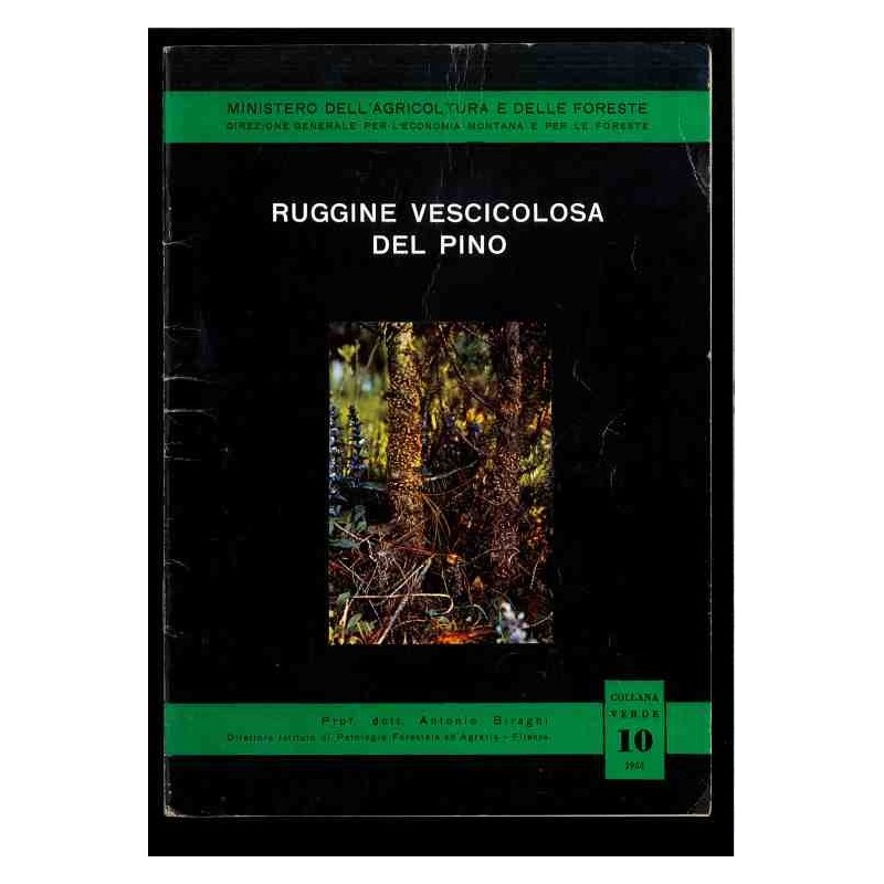 Ruggine vescicolosa del pino - collana verde 10