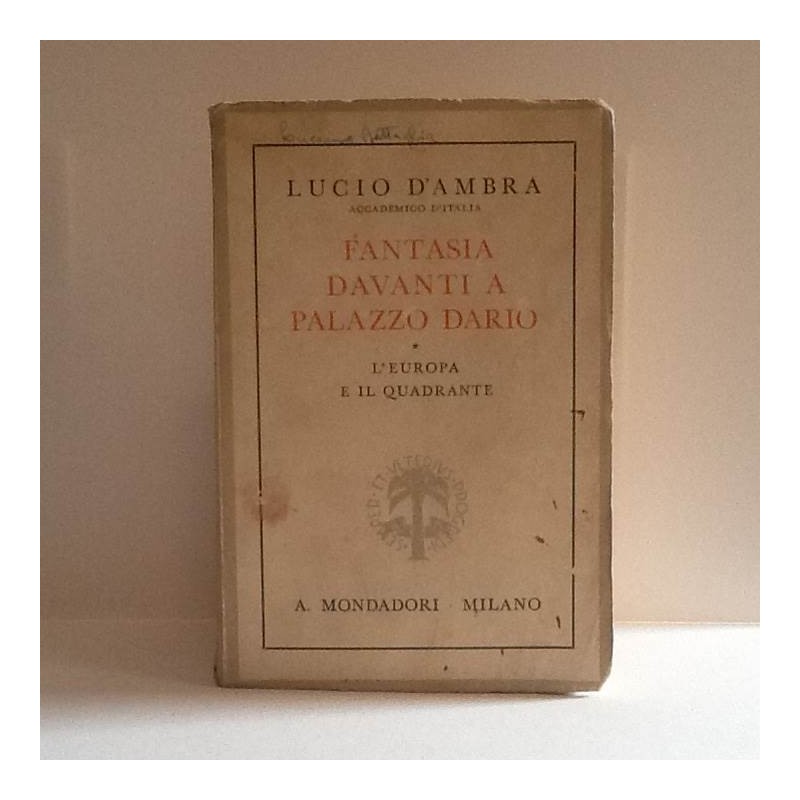 Fantasia davanti a Palazzo Dario di D'Ambra Lucio