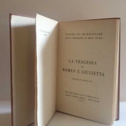 La tragedia di Romeo e Giulietta di Angeli Diego