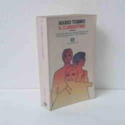 Il clandestino di Tobino Mario