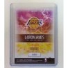 LeBron James  2021-22  Panini NBA Instant Breakaway B17  1/2819