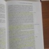 La televisione modelli teorici di Scaglione Sfardini