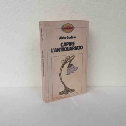 Capire l'antiquariato di...