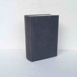 Piccolo dizionario della...