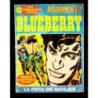 Blueberry albi ardimento anno 3 n.1